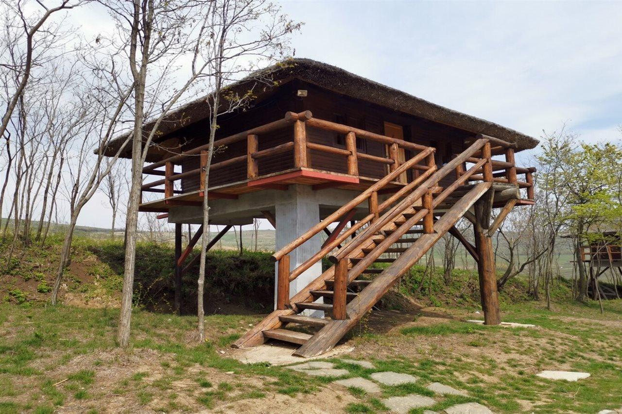 Hotel Ferma Dacilor Tohani Exterior foto